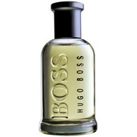 Hugo Boss Boss Bottled /for men/ eau de toilette 100 ml (flacon)