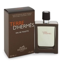 Hermes Terre d'Hermes /for men/ eau de toilette 100 ml
