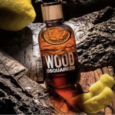 Dsquared2 He Wood /for men/ eau de toilette 100 ml (flacon)