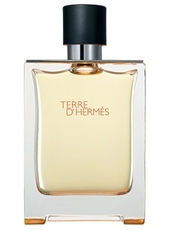 Hermes Terre d'Hermes /мъжки/ eau de toilette 100 ml (без кутия, с капачка)