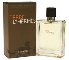 Hermes Terre d'Hermes /for men/ eau de toilette 100 ml