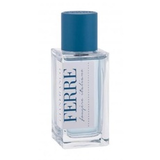 Ferre Fougere Italiano /мъжки/ eau de toilette 100 ml (без кутия)