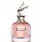 Jean-Paul Gaultier Classique Intense /for women/ eau de parfum 100 ml (flacon)